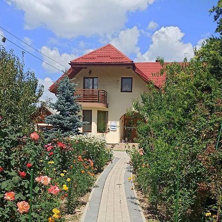 Agropensiunea Florina-Maria Branistea  Exteriér fotografie