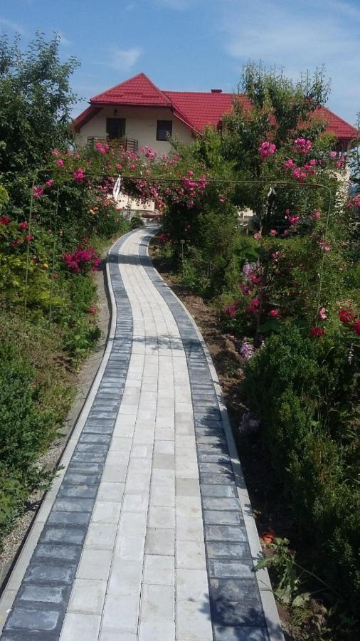 Agropensiunea Florina-Maria Branistea  Exteriér fotografie