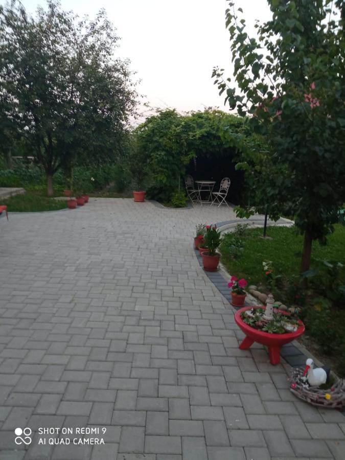 Agropensiunea Florina-Maria Branistea  Exteriér fotografie