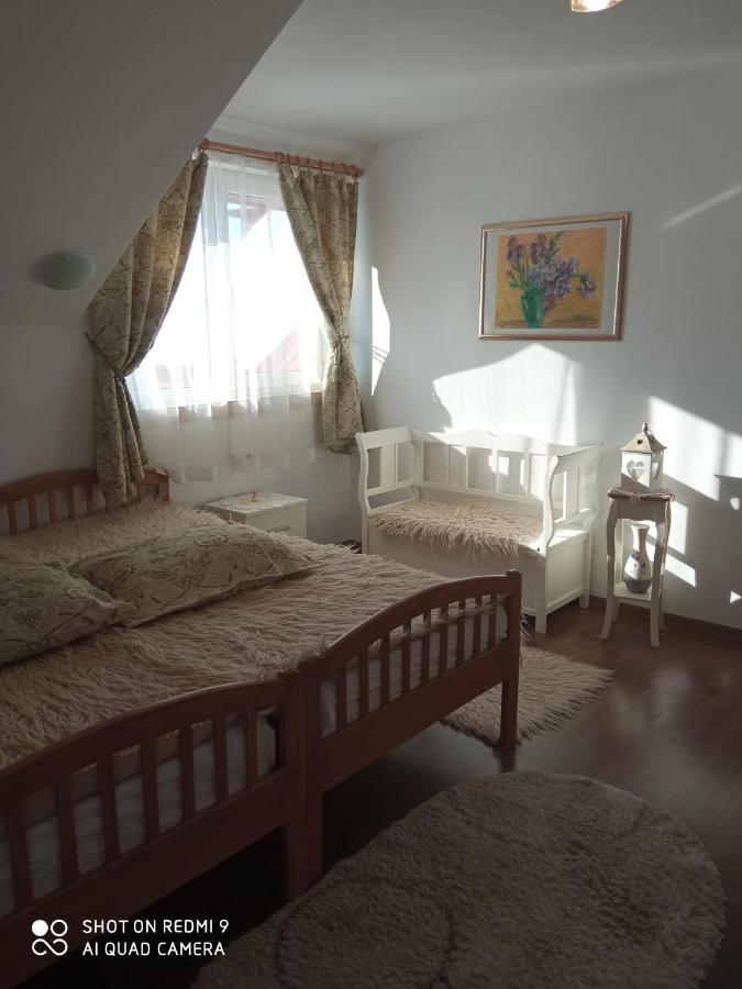 Agropensiunea Florina-Maria Branistea  Exteriér fotografie
