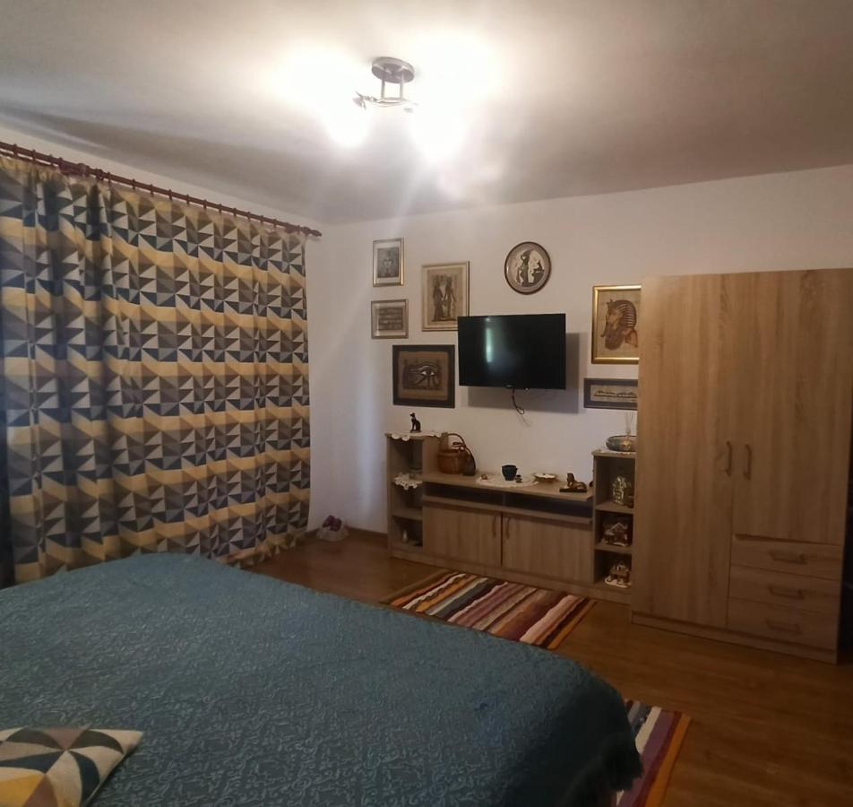 Agropensiunea Florina-Maria Branistea  Exteriér fotografie