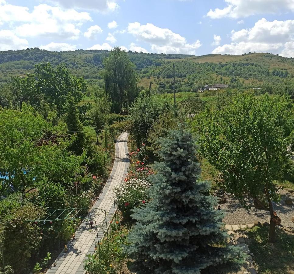 Agropensiunea Florina-Maria Branistea  Exteriér fotografie