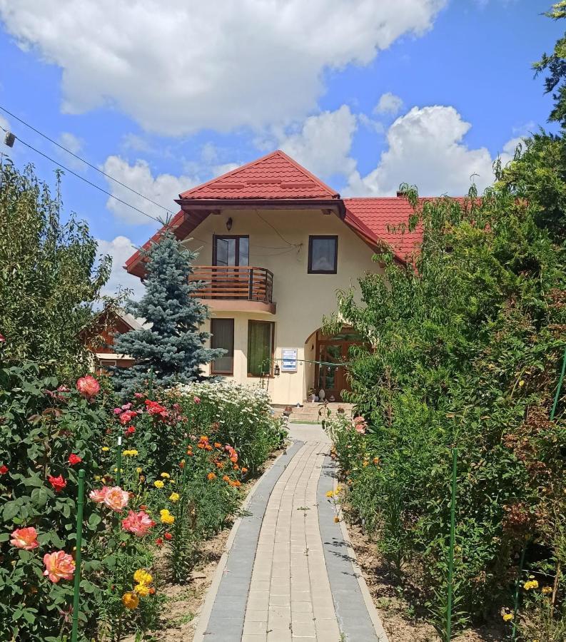 Agropensiunea Florina-Maria Branistea  Exteriér fotografie