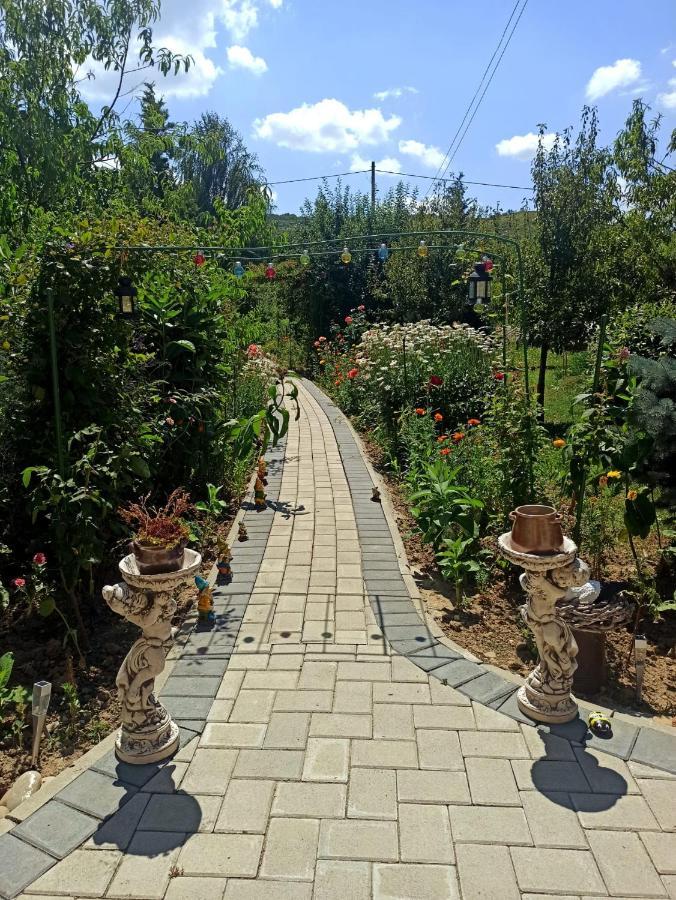 Agropensiunea Florina-Maria Branistea  Exteriér fotografie